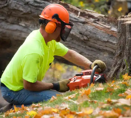 tree services Flint